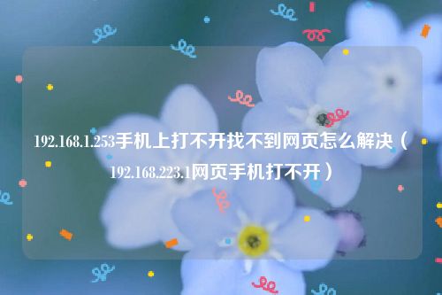 192.168.1.253手机上打不开找不到网页怎么解决（192.168.223.1网页手机打不开）