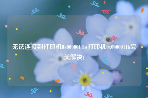 无法连接到打印机0x0000011b(打印机0x0000011b完美解决)