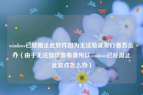 windows已经阻止此软件因为无法验证发行者怎么办（由于无法验证发布者所以windows已经阻止此软件怎么办）