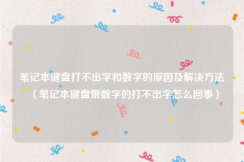 笔记本键盘打不出字和数字的原因及解决方法（笔记本键盘带数字的打不出字怎么回事）