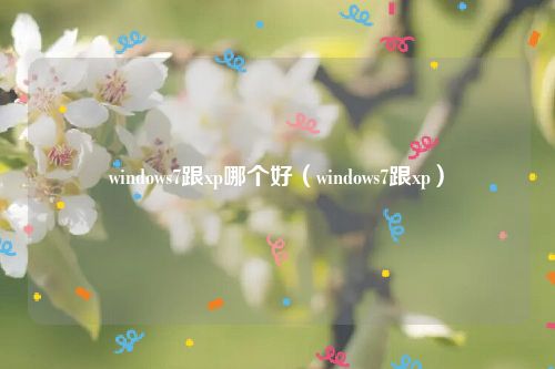 windows7跟xp哪个好（windows7跟xp）