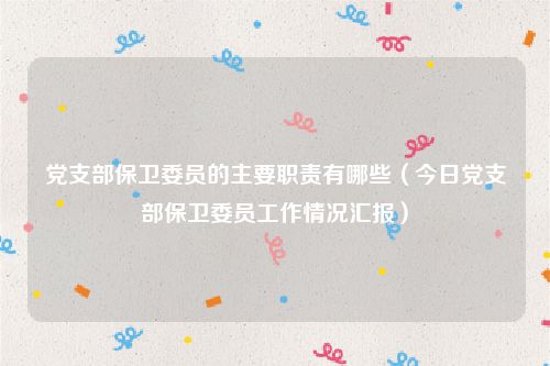 党支部保卫委员的主要职责有哪些（今日党支部保卫委员工作情况汇报）