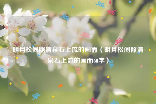 明月松间照清泉石上流的画面（明月松间照清泉石上流的画面60字）