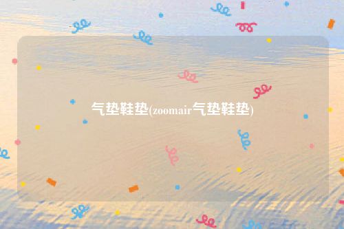 气垫鞋垫(zoomair气垫鞋垫)