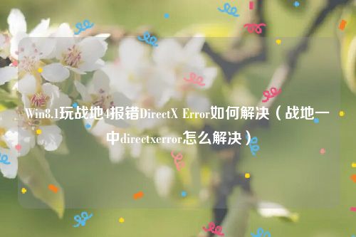 Win8.1玩战地4报错DirectX Error如何解决（战地一中directxerror怎么解决）