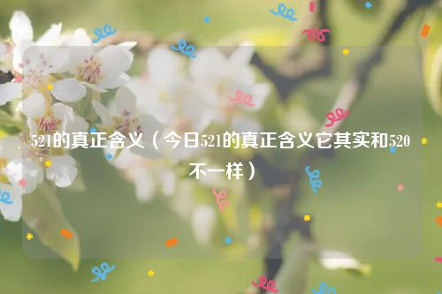 521的真正含义（今日521的真正含义它其实和520不一样）