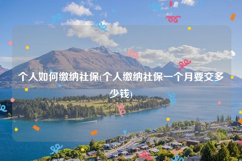 个人如何缴纳社保(个人缴纳社保一个月要交多少钱)