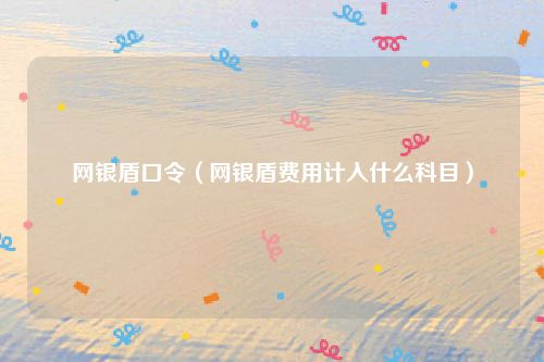 网银盾口令(网银盾费用计入什么科目)