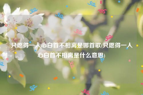 只愿得一人心白首不相离是哪首歌(只愿得一人心白首不相离是什么意思)