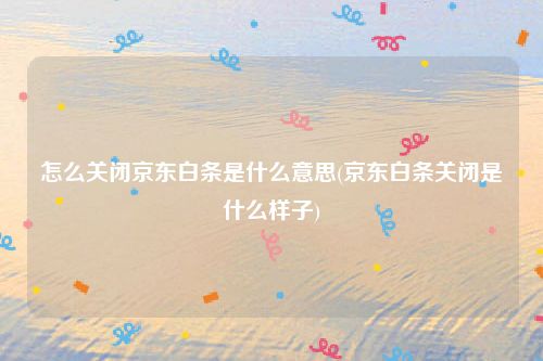 怎么关闭京东白条是什么意思(京东白条关闭是什么样子)