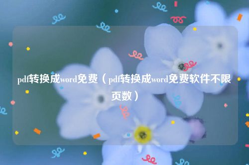 pdf转换成word免费（pdf转换成word免费软件不限页数）