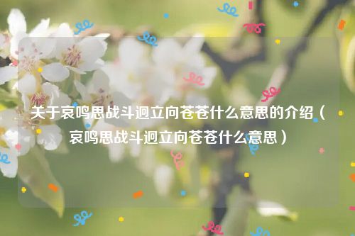 关于哀鸣思战斗迥立向苍苍什么意思的介绍(哀鸣思战斗迥立向苍苍什么意思)