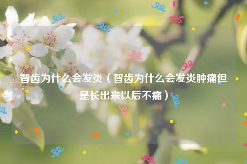 智齿为什么会发炎(智齿为什么会发炎肿痛但是长出来以后不痛)