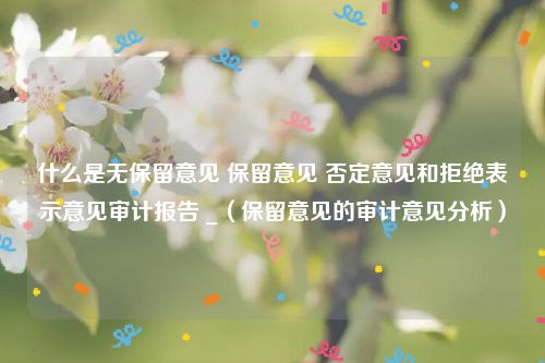 什么是无保留意见 保留意见 否定意见和拒绝表示意见审计报告 _（保留意见的审计意见分析）