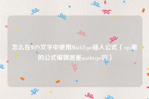 怎么在WPS文字中使用MathType插入公式（wps里的公式编辑器是mathtype吗）