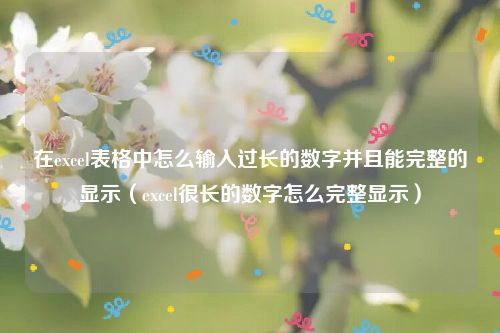 在excel表格中怎么输入过长的数字并且能完整的显示（excel很长的数字怎么完整显示）