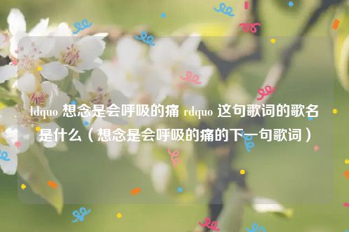 ldquo 想念是会呼吸的痛 rdquo 这句歌词的歌名是什么（想念是会呼吸的痛的下一句歌词）