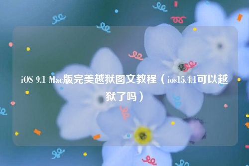 iOS 9.1 Mac版完美越狱图文教程（ios15.4.1可以越狱了吗）