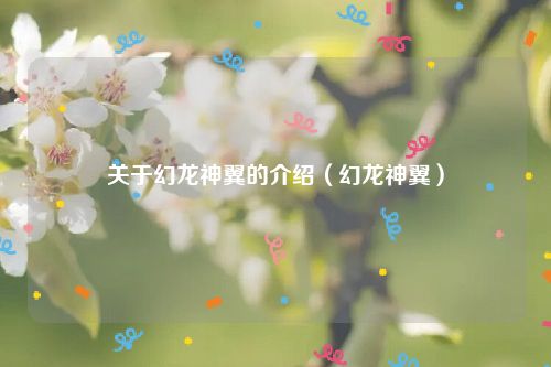 关于幻龙神翼的介绍（幻龙神翼）