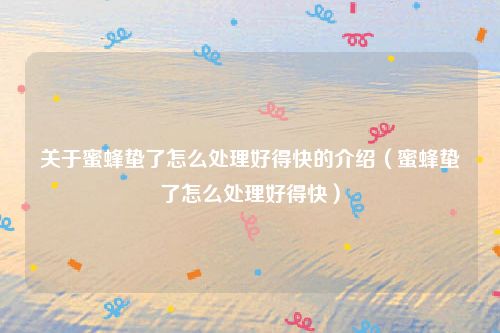 关于蜜蜂蛰了怎么处理好得快的介绍(蜜蜂蛰了怎么处理好得快)