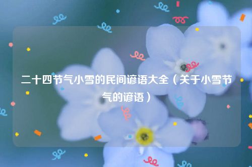 二十四节气小雪的民间谚语大全(关于小雪节气的谚语)