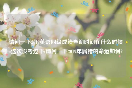 请问一下2019英语四级成绩查询时间在什么时候 这次没考过下(请问一下2019年属猪的命运如何?)