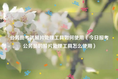 公务员考试照片处理工具如何使用（今日报考公务员的照片处理工具怎么使用）