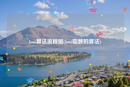 bmi算法流程图(bmi指数的算法)