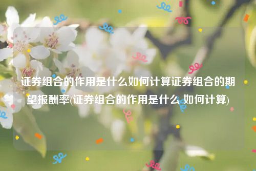 证券组合的作用是什么如何计算证券组合的期望报酬率(证券组合的作用是什么 如何计算)