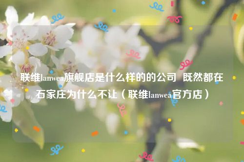 联维lanwea旗舰店是什么样的的公司 既然都在石家庄为什么不让(联维lanwea官方店)