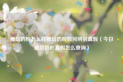 雅培奶粉怎么样雅培奶粉如何辨别真假（今日雅培奶粉真假怎么查询）