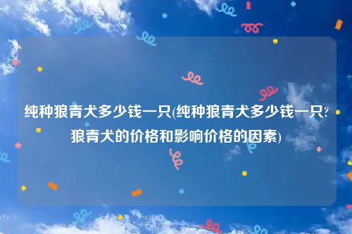 纯种狼青犬多少钱一只(纯种狼青犬多少钱一只?狼青犬的价格和影响价格的因素)