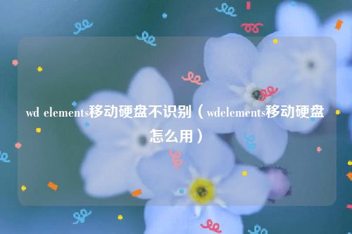 wd elements移动硬盘不识别(wdelements移动硬盘怎么用)