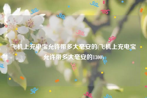 飞机上充电宝允许带多大毫安的(飞机上充电宝允许带多大毫安的1300)