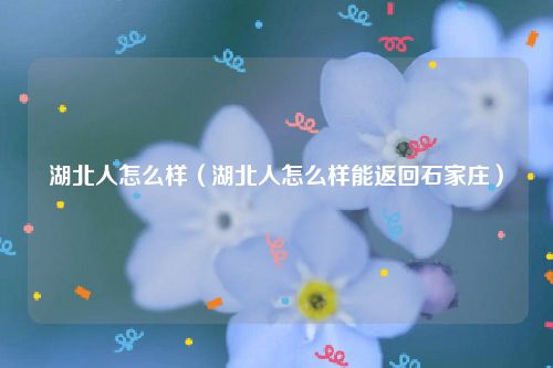 湖北人怎么样(湖北人怎么样能返回石家庄)