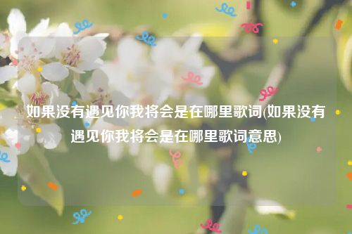 如果没有遇见你我将会是在哪里歌词(如果没有遇见你我将会是在哪里歌词意思)