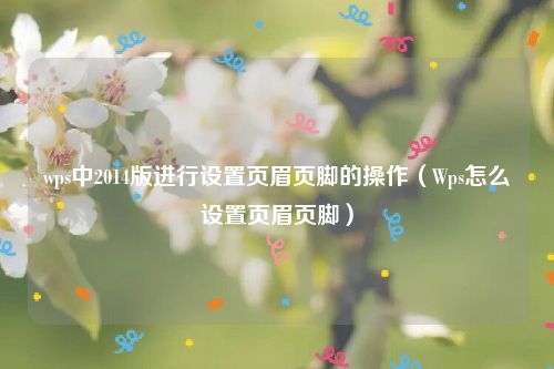 wps中2014版进行设置页眉页脚的操作(Wps怎么设置页眉页脚)