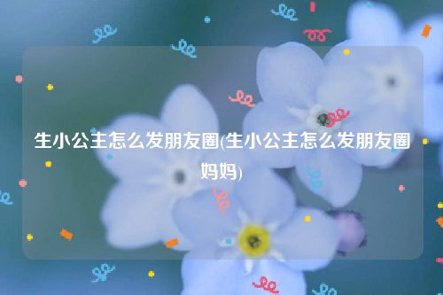 生小公主怎么发朋友圈(生小公主怎么发朋友圈妈妈)