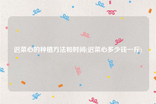 迟菜心的种植方法和时间(迟菜心多少钱一斤)