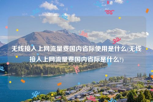 无线接入上网流量费国内省际使用是什么(无线接入上网流量费国内省际是什么?)