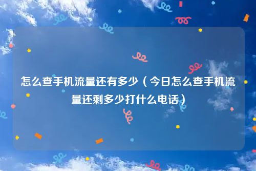 怎么查手机流量还有多少（今日怎么查手机流量还剩多少打什么电话）