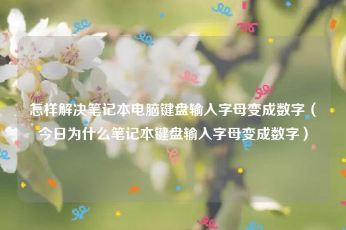 怎样解决笔记本电脑键盘输入字母变成数字(今日为什么笔记本键盘输入字母变成数字)
