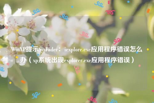 WinXP提示SysFader：iexplore.exe应用程序错误怎么办（xp系统出现explorer.exe应用程序错误）