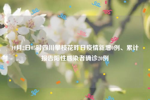 11月2日05时四川攀枝花昨日疫情新增0例、累计报告阳性感染者确诊20例