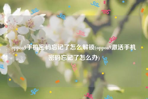 oppoa9手机密码忘记了怎么解锁(oppoa9激活手机密码忘记了怎么办)