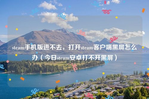 steam手机版进不去，打开steam客户端黑屏怎么办（今日steam安卓打不开黑屏）