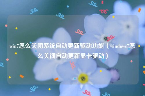 win7怎么关闭系统自动更新驱动功能（windows7怎么关闭自动更新显卡驱动）