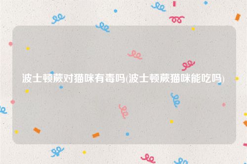 波士顿蕨对猫咪有毒吗(波士顿蕨猫咪能吃吗)