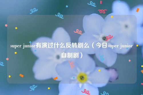 super junior有演过什么反转剧么（今日super junior自制剧）