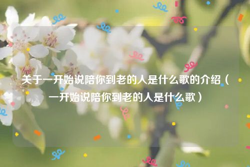 关于一开始说陪你到老的人是什么歌的介绍（一开始说陪你到老的人是什么歌）